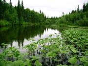 Впереди просматривается изменение ландшафта